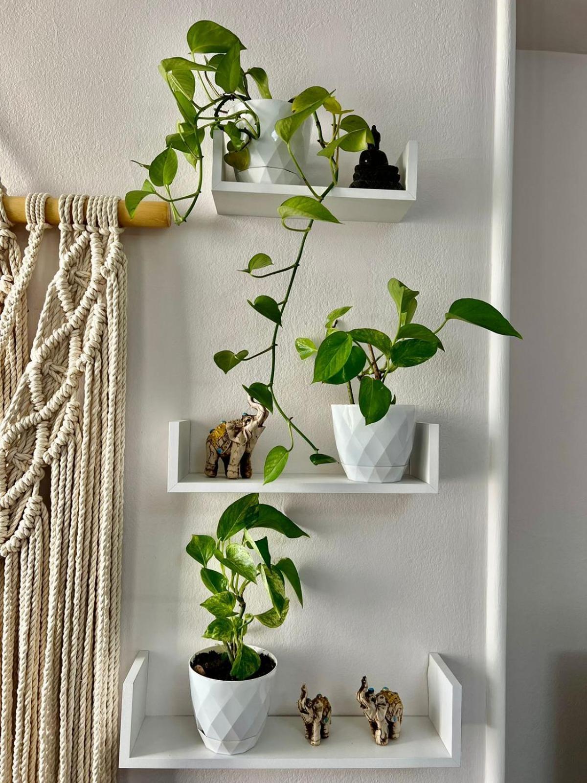 Tirana Center Tourist Apartment מראה חיצוני תמונה